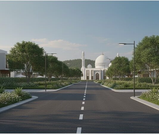 Well-Constructed Carpeted Roads - Edited